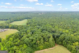 1381 Lincolnton Hwy, Elberton, GA 30635 - Photo 55