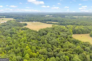 1381 Lincolnton Hwy, Elberton, GA 30635 - Photo 51