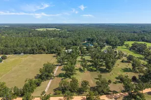 321 Old Hardy Place Rd, Statesboro, GA 30461 - Photo 5