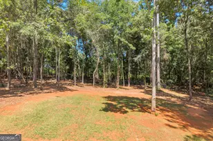 268 Park Pl Dr, Lavonia, GA 30553 - Photo 63