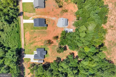 268 Park Place Drive, Lavonia, GA 30553 - Photo 49