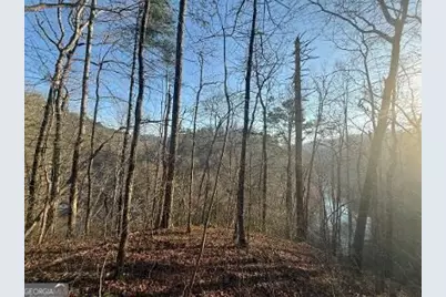 0 Elk Trail, Talking Rock, GA 30175 - Photo 5