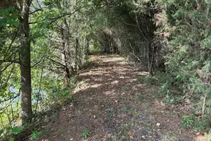 948 Parham Town Rd, Bowman, GA 30624 - Photo 29