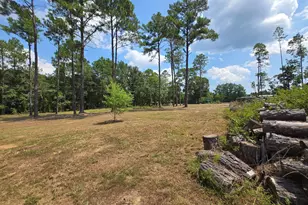 290 Kemp Rd, Swainsboro, GA 30401 - Photo 73