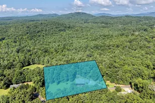 240 Charles Ln, Morganton, GA 30560 - Photo 59