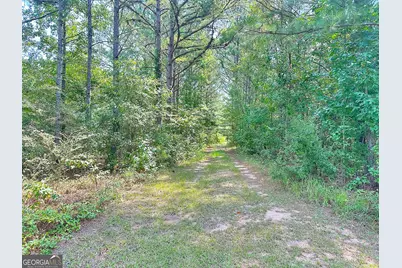 493 Jarrell Hogg Road, West Point, GA 31833 - Photo 3