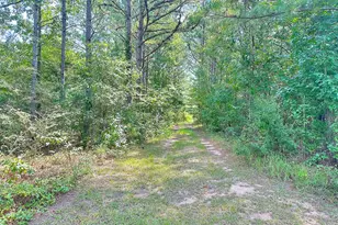 493 Jarrell Hogg Rd, West Point, GA 31833 - Photo 3