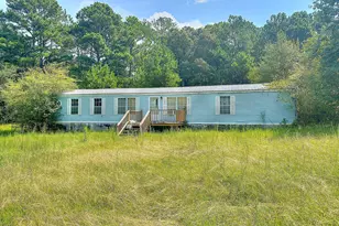 493 Jarrell Hogg Rd, West Point, GA 31833 - Photo 1