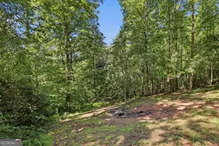 117 Hunting Hills Dr, Cleveland, GA 30528 - Photo 51
