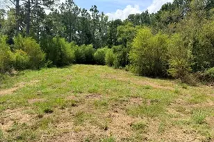 81 Daphney Ln, Statesboro, GA 30458 - Photo 13