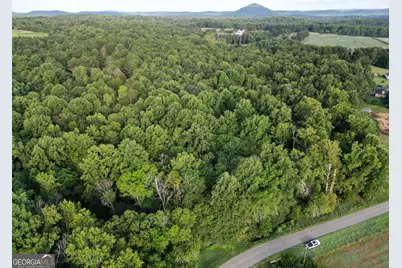 0 N Broad River Road, Eastanollee, GA 30538 - Photo 5