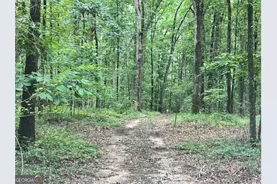 1383 Sims Road SE, Winder, GA 30680 - Photo 11