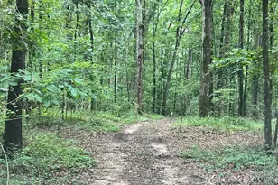 1383 Sims Rd SE, Winder, GA 30680 - Photo 11