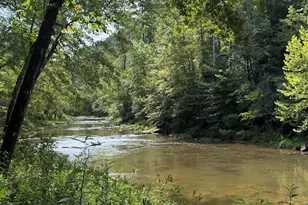 331 Rushing River Rd, Talking Rock, GA 30175 - Photo 1