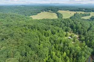 966 Wahoo Creek Rd, Murrayville, GA 30564 - Photo 77