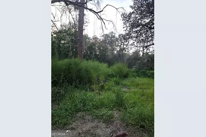 373 Carl Burney Road, Hortense, GA 31543 - Photo 3