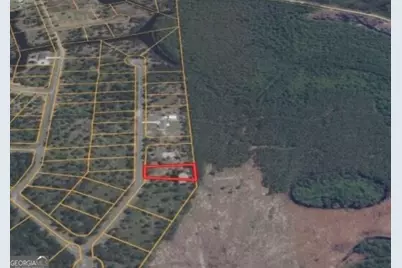 0 Big Horse Drive, Waynesville, GA 31566 - Photo 13