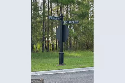 0 Big Horse Drive, Waynesville, GA 31566 - Photo 1