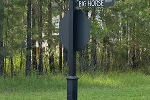 0 Big Horse Dr, Waynesville, GA 31566 - Photo 1
