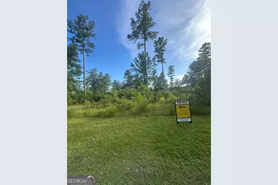 0 Big Horse Drive, Waynesville, GA 31566 - Photo 3