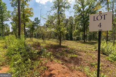 0 Hwy 100 #1 SADIE PLACE, Franklin, GA 30217 - Photo 19