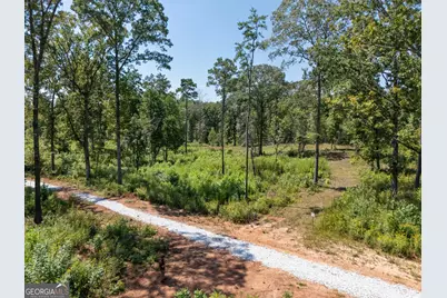 0 Hwy 100 #1 SADIE PLACE, Franklin, GA 30217 - Photo 9