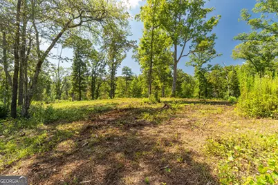 0 Hwy 100 #1 SADIE PLACE, Franklin, GA 30217 - Photo 25