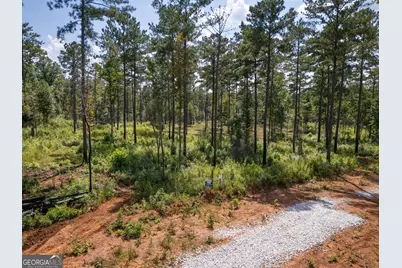 0 Hwy 100 #1 SADIE PLACE, Franklin, GA 30217 - Photo 21