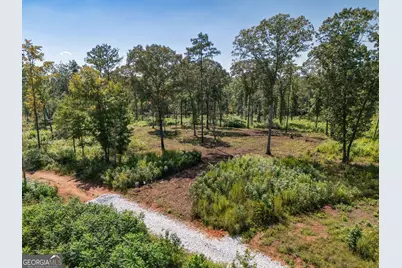 0 Hwy 100 #1 SADIE PLACE, Franklin, GA 30217 - Photo 1