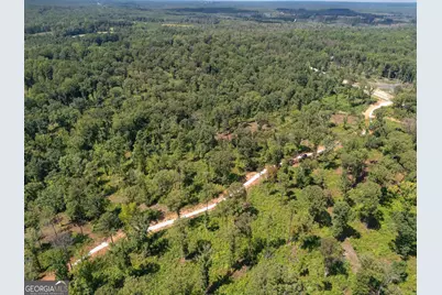 0 Hwy 100 #1 SADIE PLACE, Franklin, GA 30217 - Photo 27