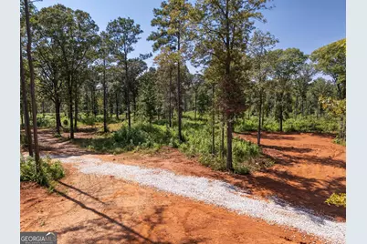 0 Hwy 100 #1 SADIE PLACE, Franklin, GA 30217 - Photo 23