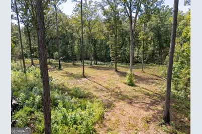 0 Hwy 100 #4 SADIE PLACE, Franklin, GA 30217 - Photo 17