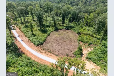 0 Hwy 100 #4 SADIE PLACE, Franklin, GA 30217 - Photo 11