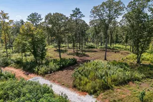 0 Hwy 100, Franklin, GA 30217 - Photo 1