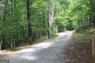 90 Pine Tree Drive, Blue Ridge, GA 30513 - Photo 29