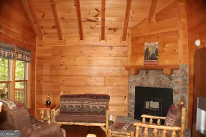 90 Pine Tree Drive, Blue Ridge, GA 30513 - Photo 19
