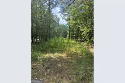 460 Yarbrough Mill Road, Locust Grove, GA 30248 - Photo 3