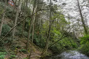 58 River Rd, Cherrylog, GA 30522 - Photo 7