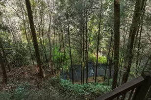 58 River Rd, Cherrylog, GA 30522 - Photo 59