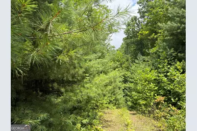 7129 Tantrough Farms, Hiawassee, GA 30546 - Photo 23