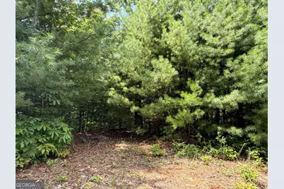 7129 Tantrough Farms, Hiawassee, GA 30546 - Photo 7