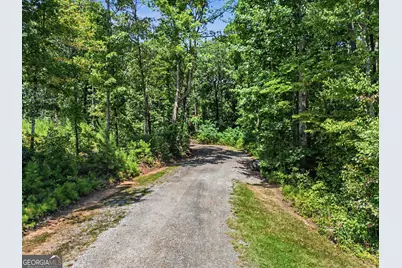 0 Highway 34 W, Newnan, GA 30263 - Photo 11