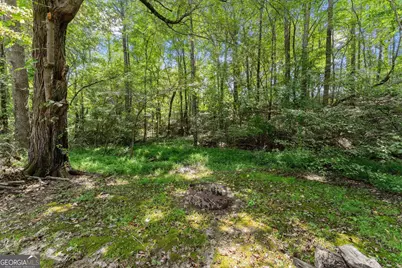 4465 Carters Creek Lane, Cumming, GA 30040 - Photo 59