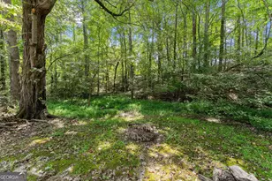 4465 Carters Creek Ln, Cumming, GA 30040 - Photo 59