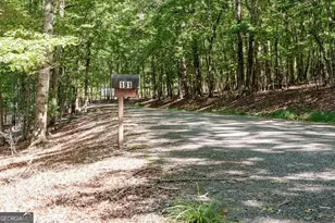 191 Deer Run Rd, Blairsville, GA 30512 - Photo 55