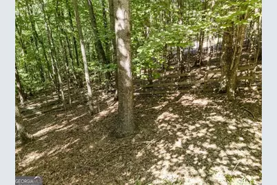 191 Deer Run Road, Blairsville, GA 30512 - Photo 57