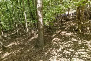 191 Deer Run Rd, Blairsville, GA 30512 - Photo 57