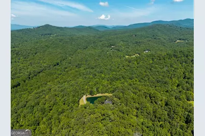 505 Old Salem Road, Mineral Bluff, GA 30559 - Photo 113