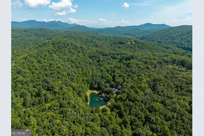 505 Old Salem Road, Mineral Bluff, GA 30559 - Photo 115