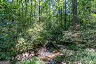 16 Peek Drive, Carrollton, GA 30116 - Photo 43